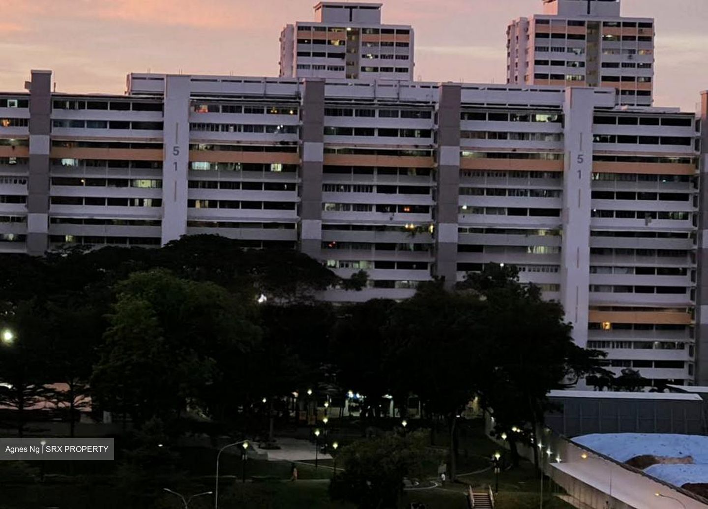 Blk 51 New Upper Changi Road (Bedok), HDB 4 Rooms #483991911